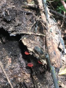 WhatsApp Image 2019-09-16 at 9.37.00 AM (1)